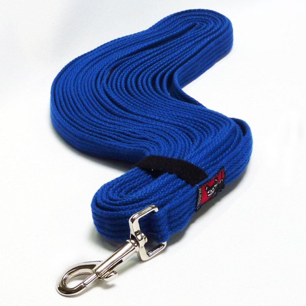 Black Dog Wear 11m Tracking Recall Lead Blue Mini, Regular