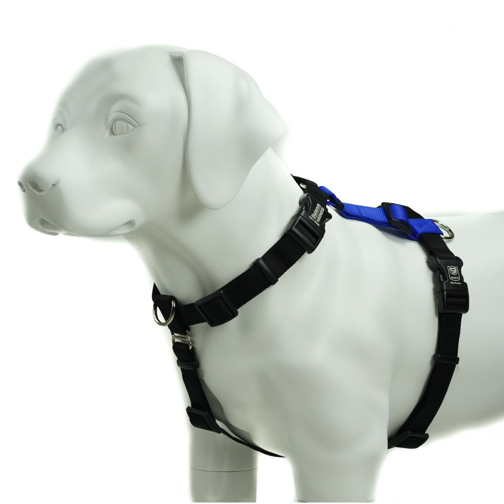 Blue-9 Balance Harness Buckle Neck Blue (Large)