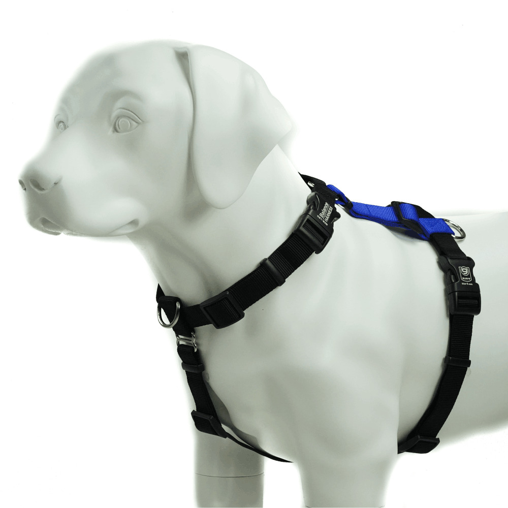 Blue-9 Balance Harness Buckle Neck Blue