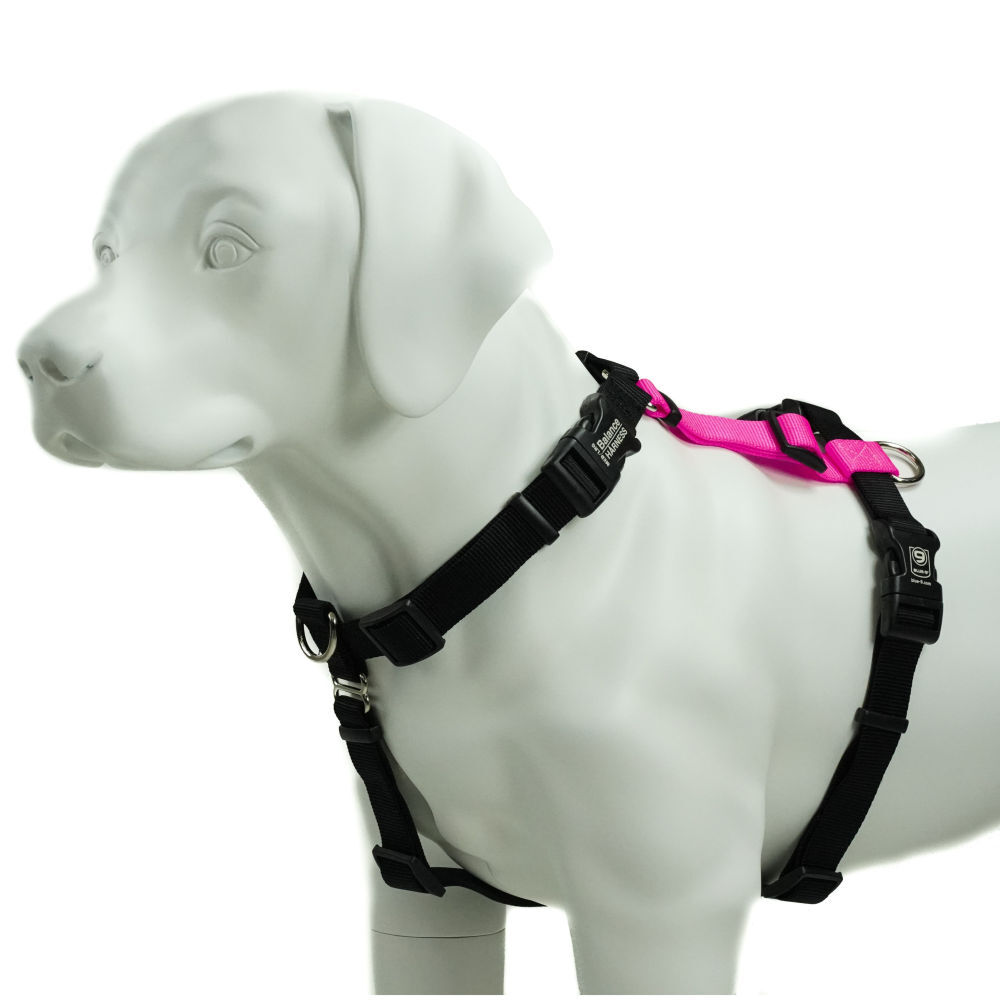 Blue-9 Balance Harness Buckle Neck Hot Pink