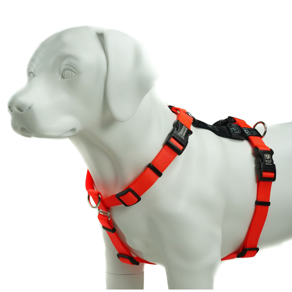 Blue-9 Balance Harness Buckle Neck Orange