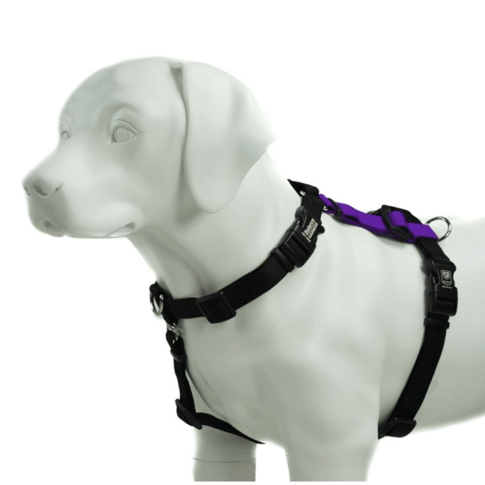 Blue-9 Balance Harness Buckle Neck Purple (Medium)