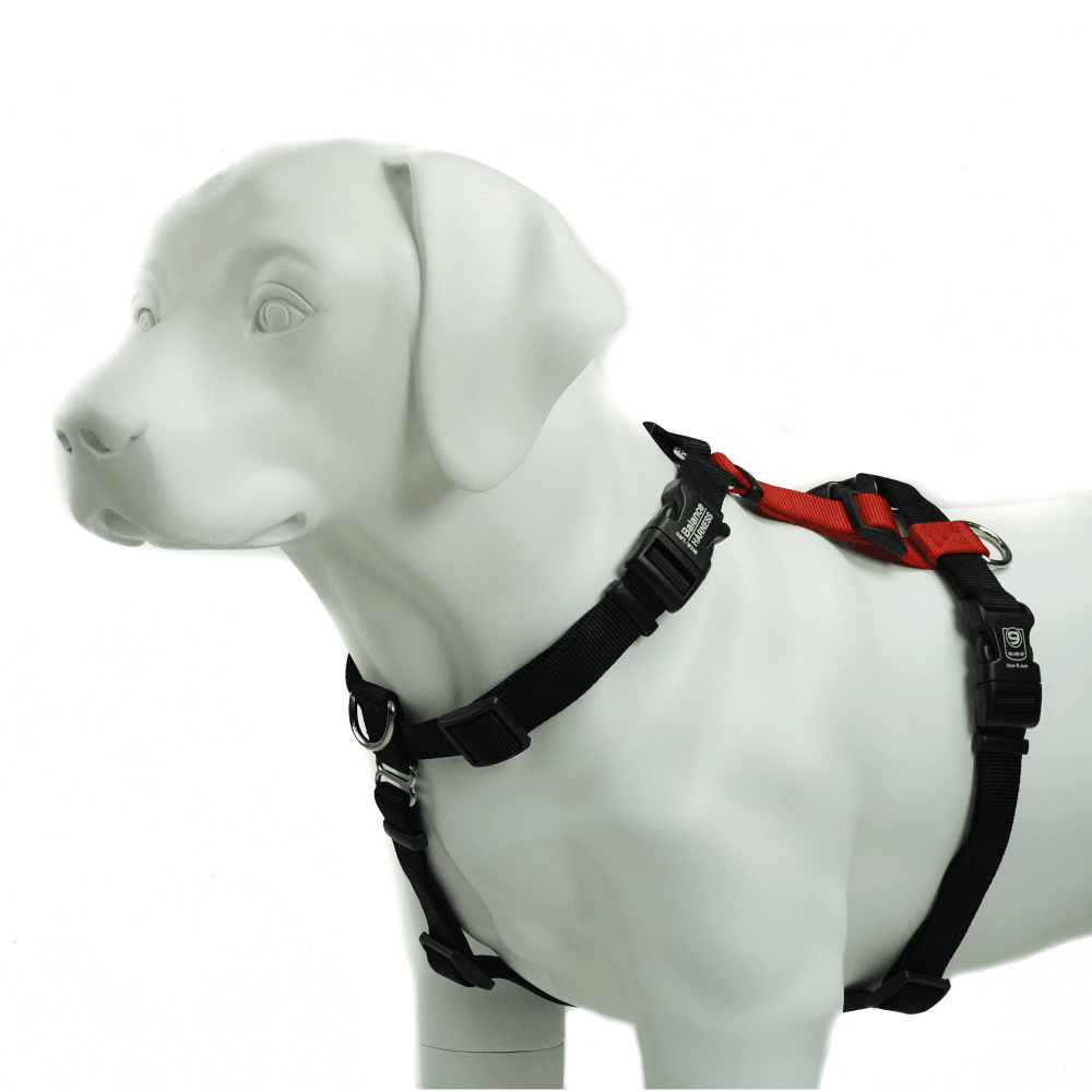 Blue-9 Balance Harness Buckle Neck Red