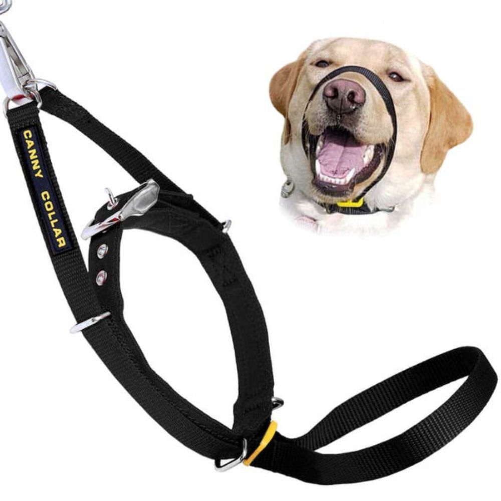 Canny Collar Dog Head Halter - Black | Train Your Dog Not To Pull