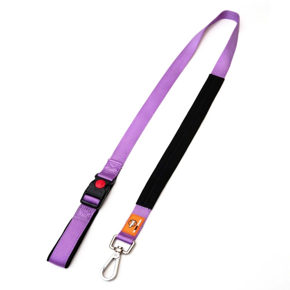 Canny CONNECT Padded Handle Dog Lead 120cm Purple (15mm, 25mm)