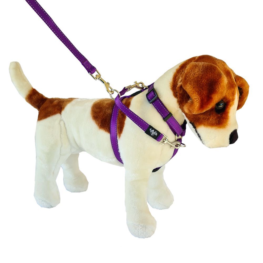 4Pooch Control Harness & Connector Lead Purple Medium