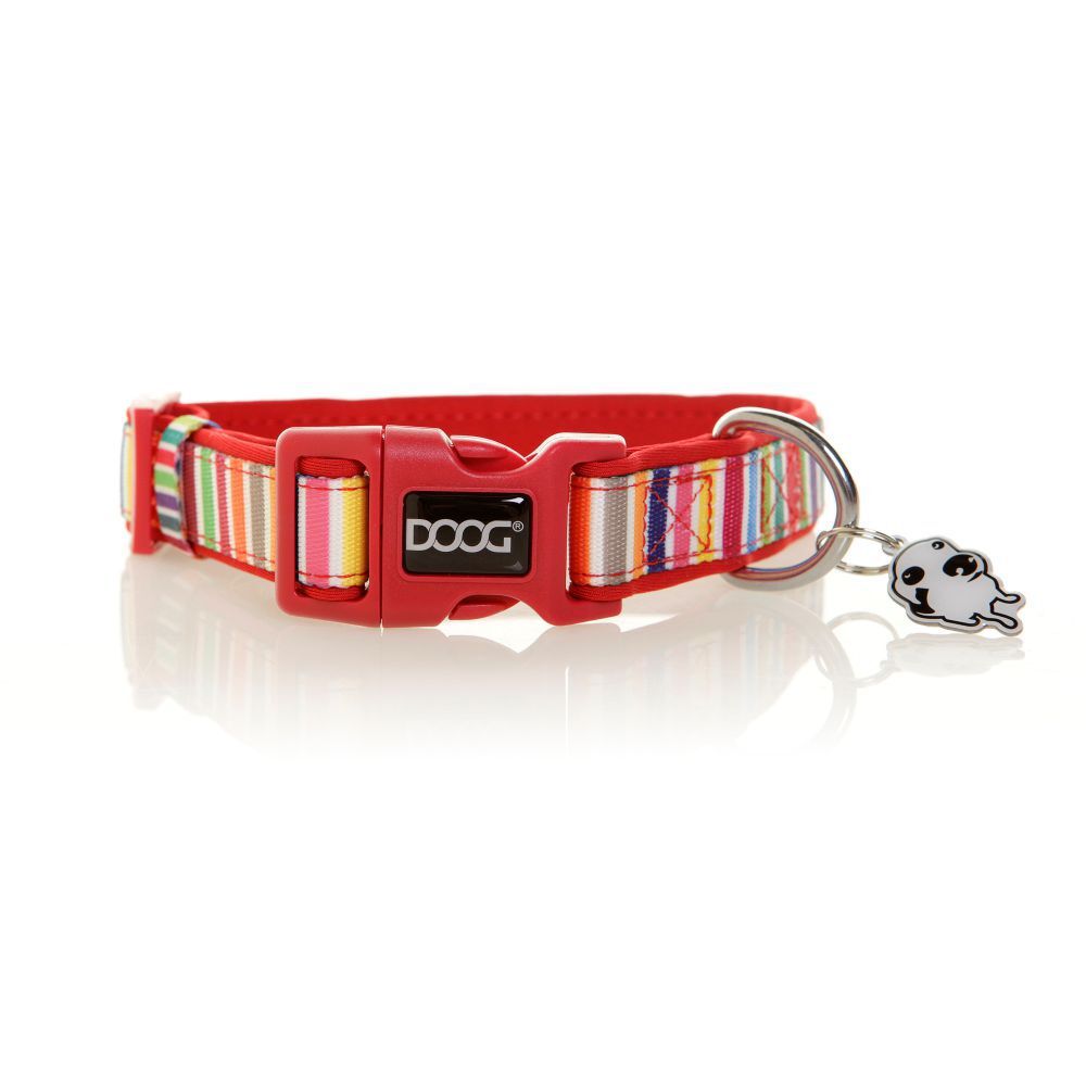 DOOG Neoprene Dog Collar Scooby XS, S, M, L