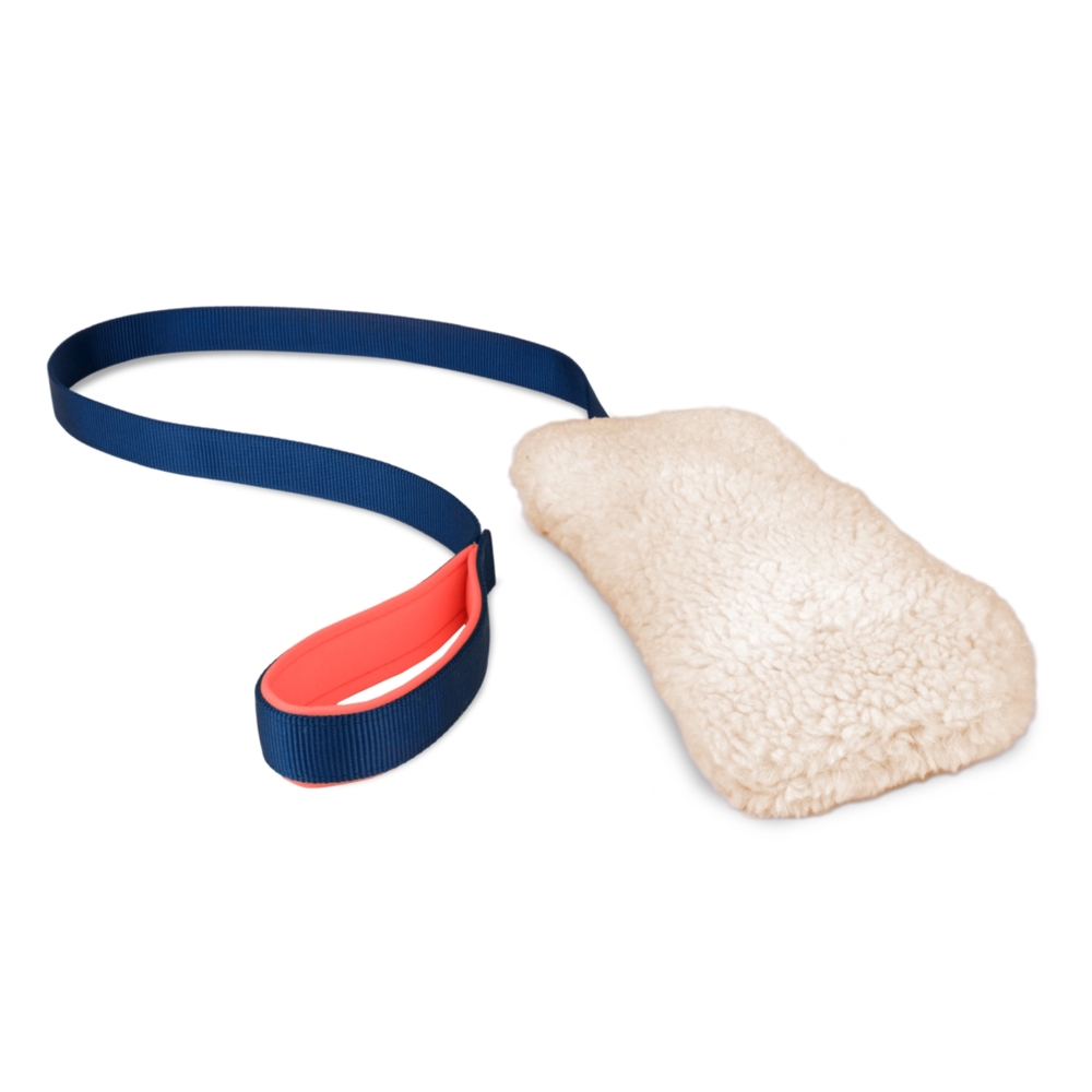Coachi Chase and Crinkle Training Dog Toy
