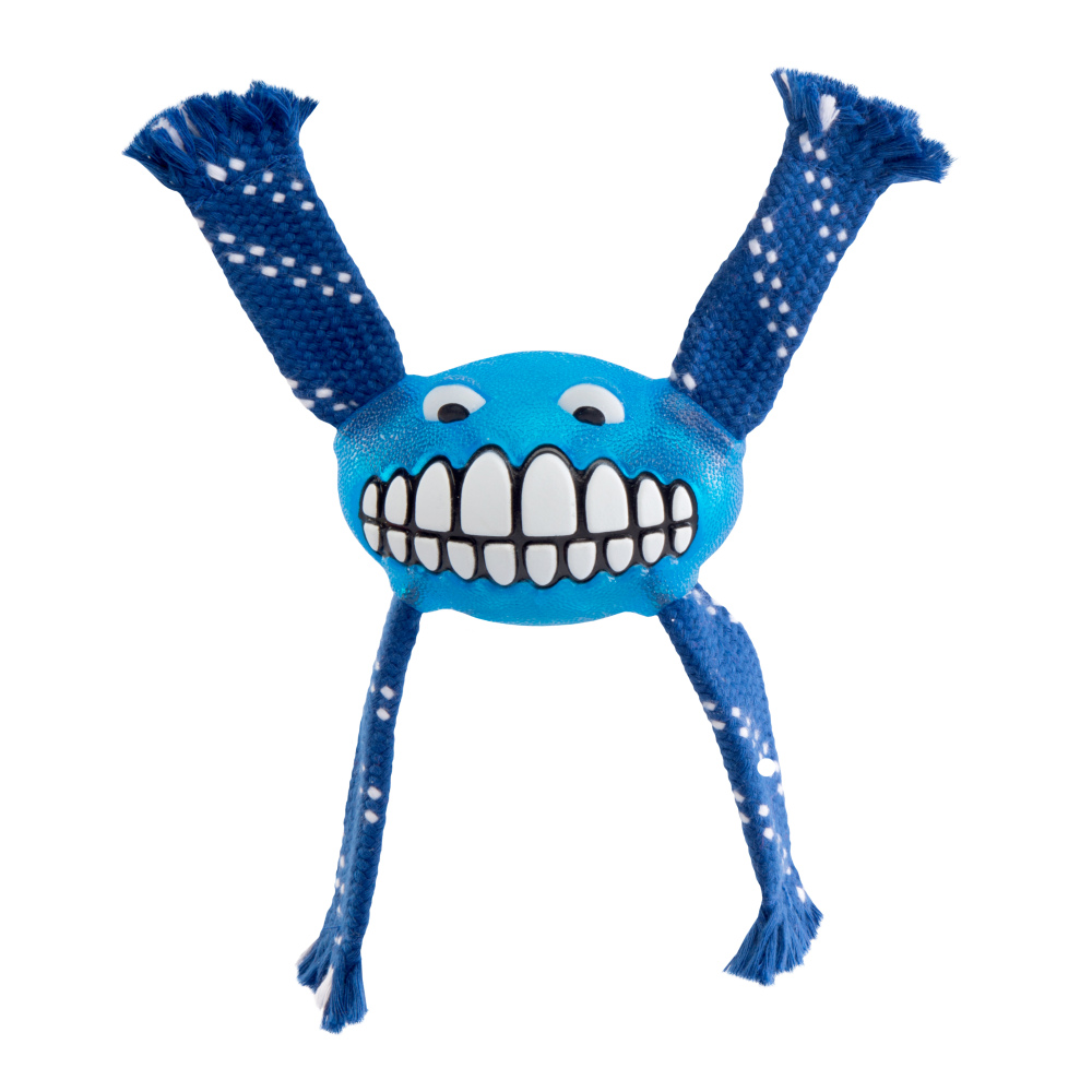 Rogz Flossy Grinz Oral Care Dog Toy Blue (Small)