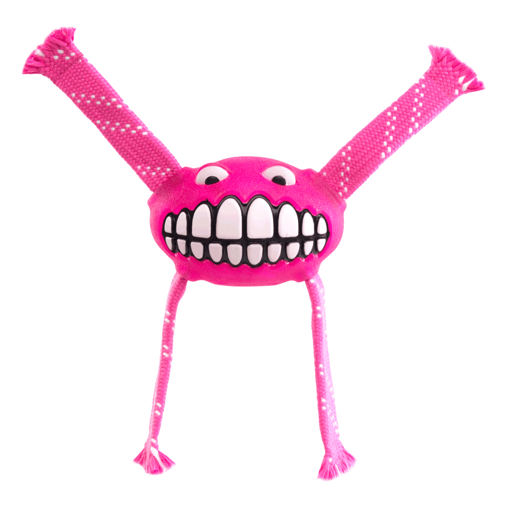 Rogz Flossy Grinz Oral Care Dog Toy Pink (Large)