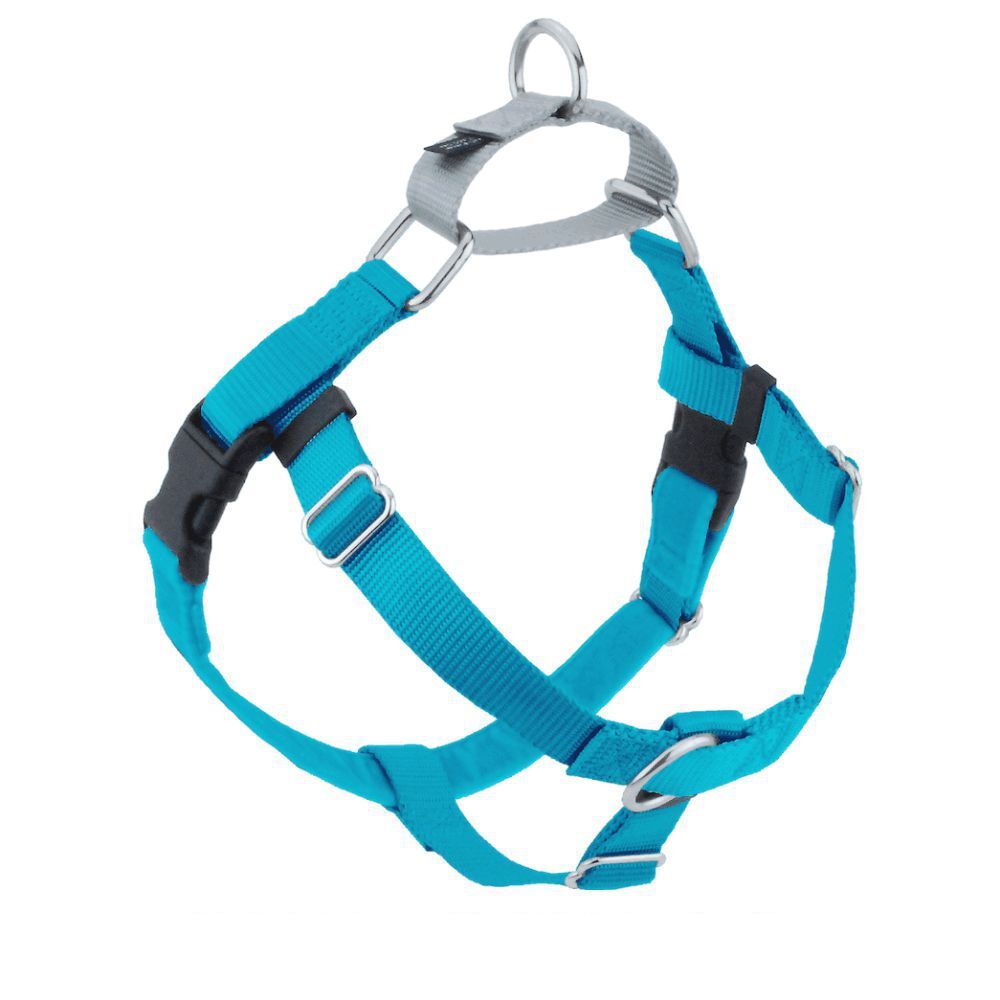 Freedom No Pull Dog Harness Turquoise XS, S, M, L, XL, XXL
