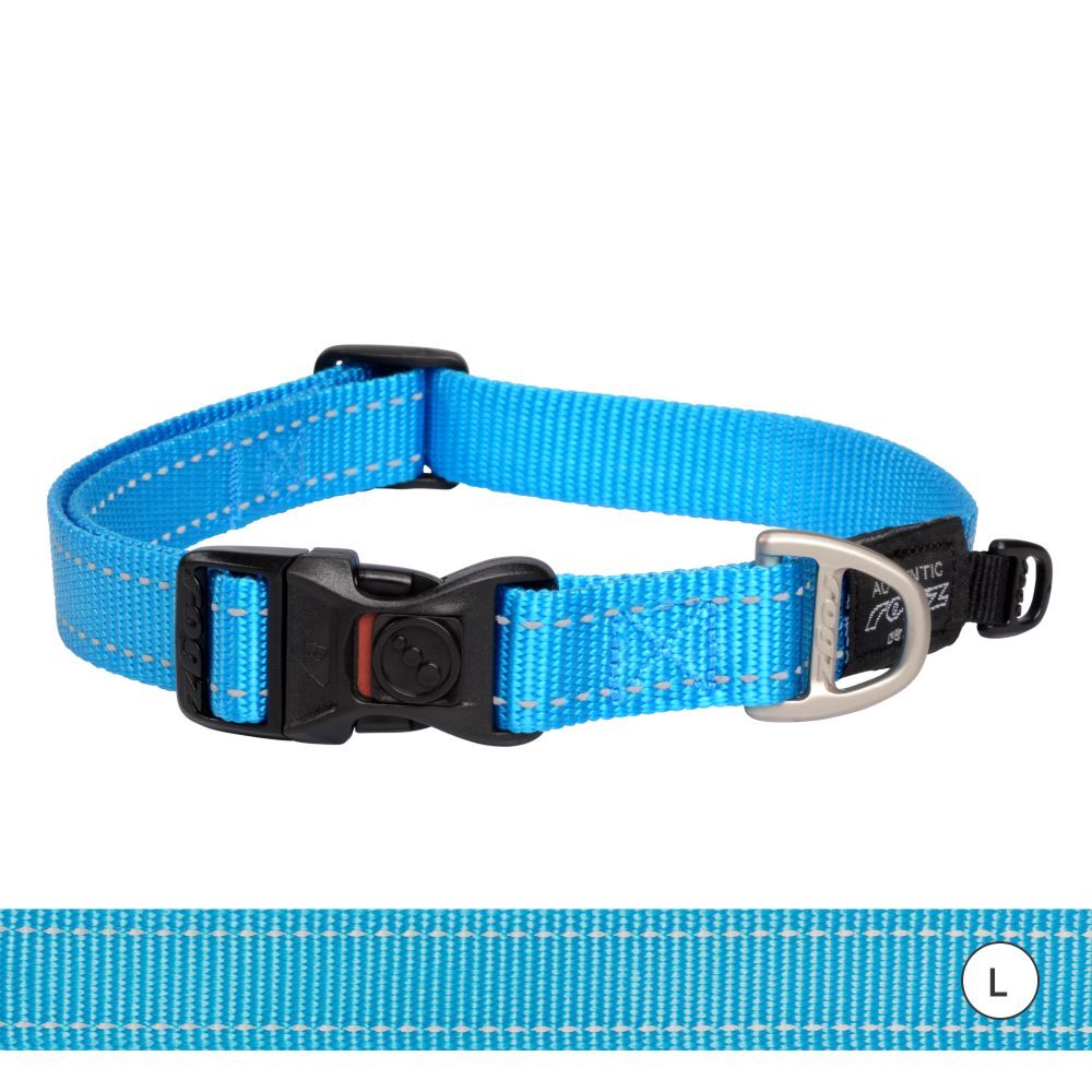 Rogz Classic Reflective Dog Collar, Turquoise (Large 34-56cm)