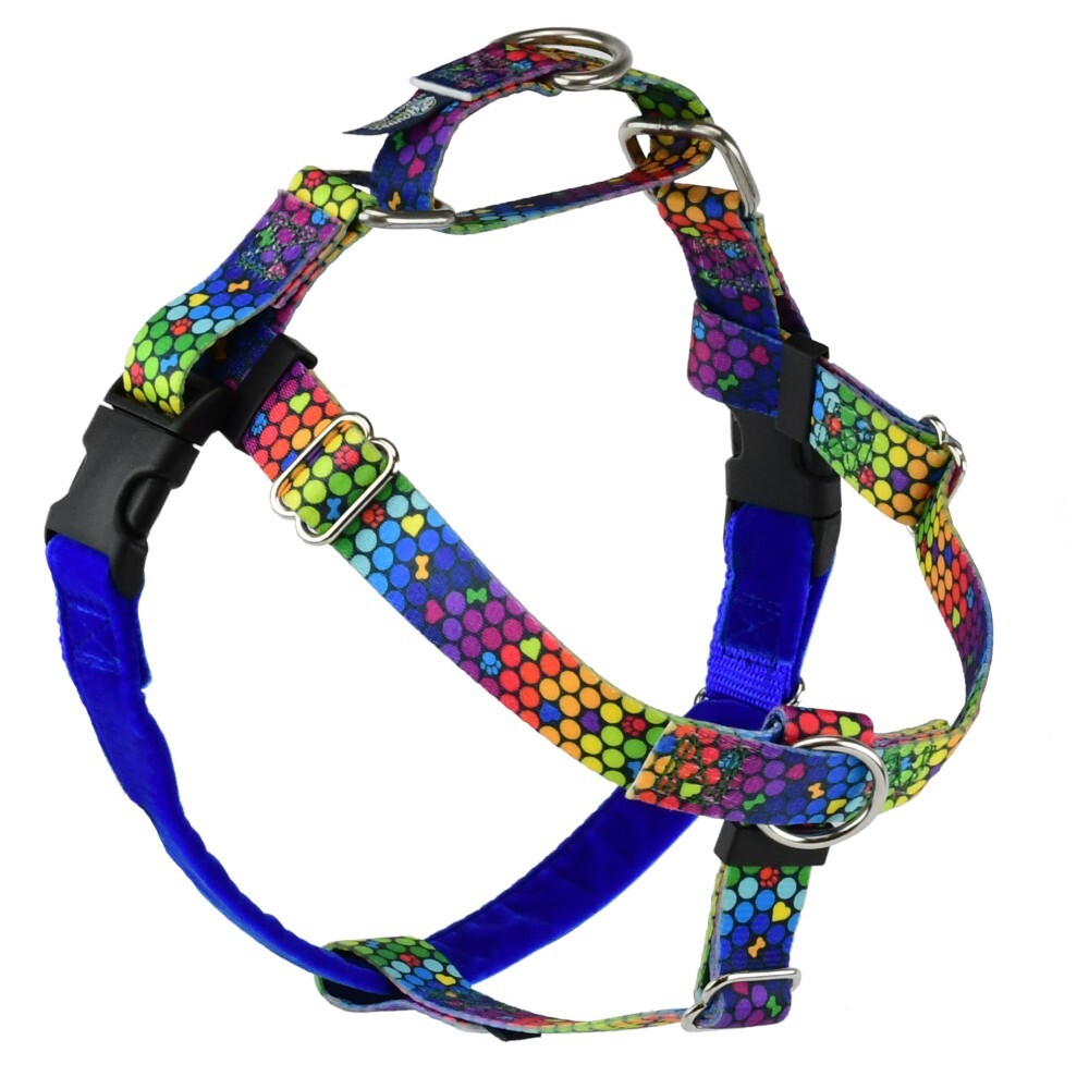 Freedom No Pull Dog Harness EarthStyle ROY G BIV (Large 2.5cm)