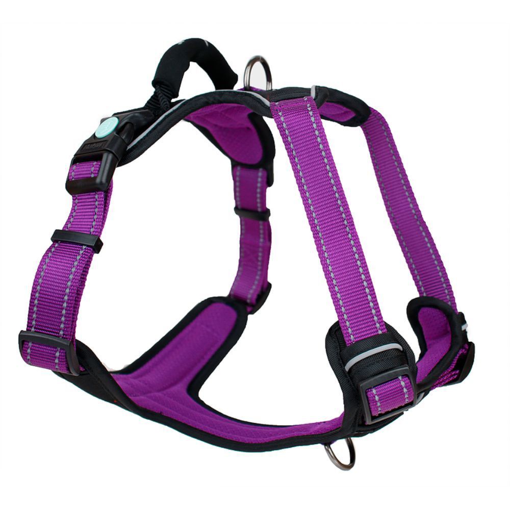 Huskimo Ultimate Dog Harness Purple Aurora  XS, S, M, L, XL