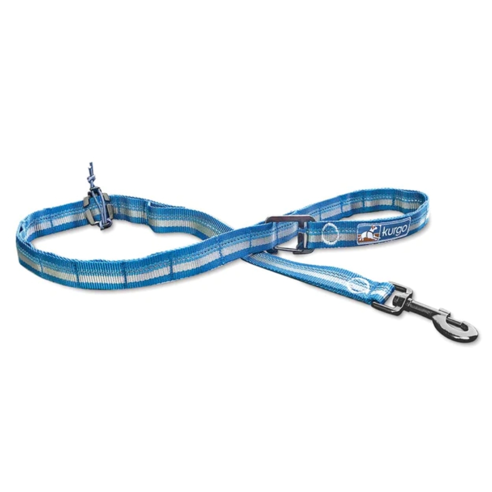 Kurgo RSG Stub Dog Leash Blue