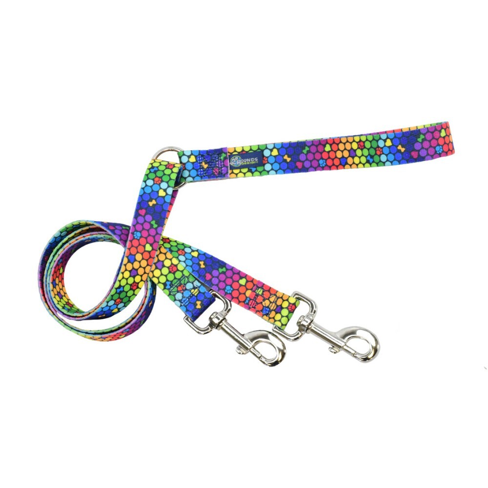 Freedom Training Dog Lead EarthStyle ROY G BIV (2.5cm Wide)