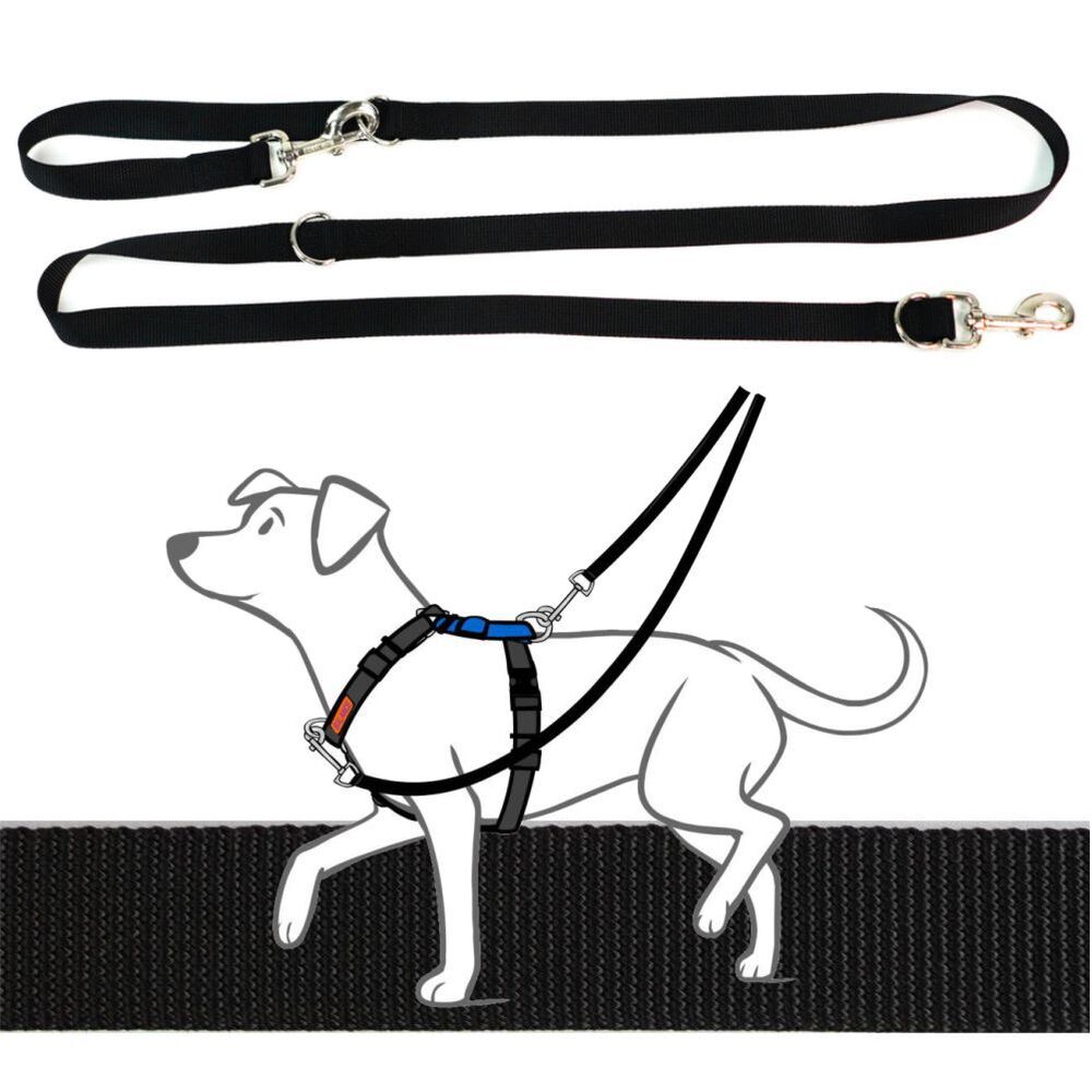 Blue-9 Multi-Function Leash Black