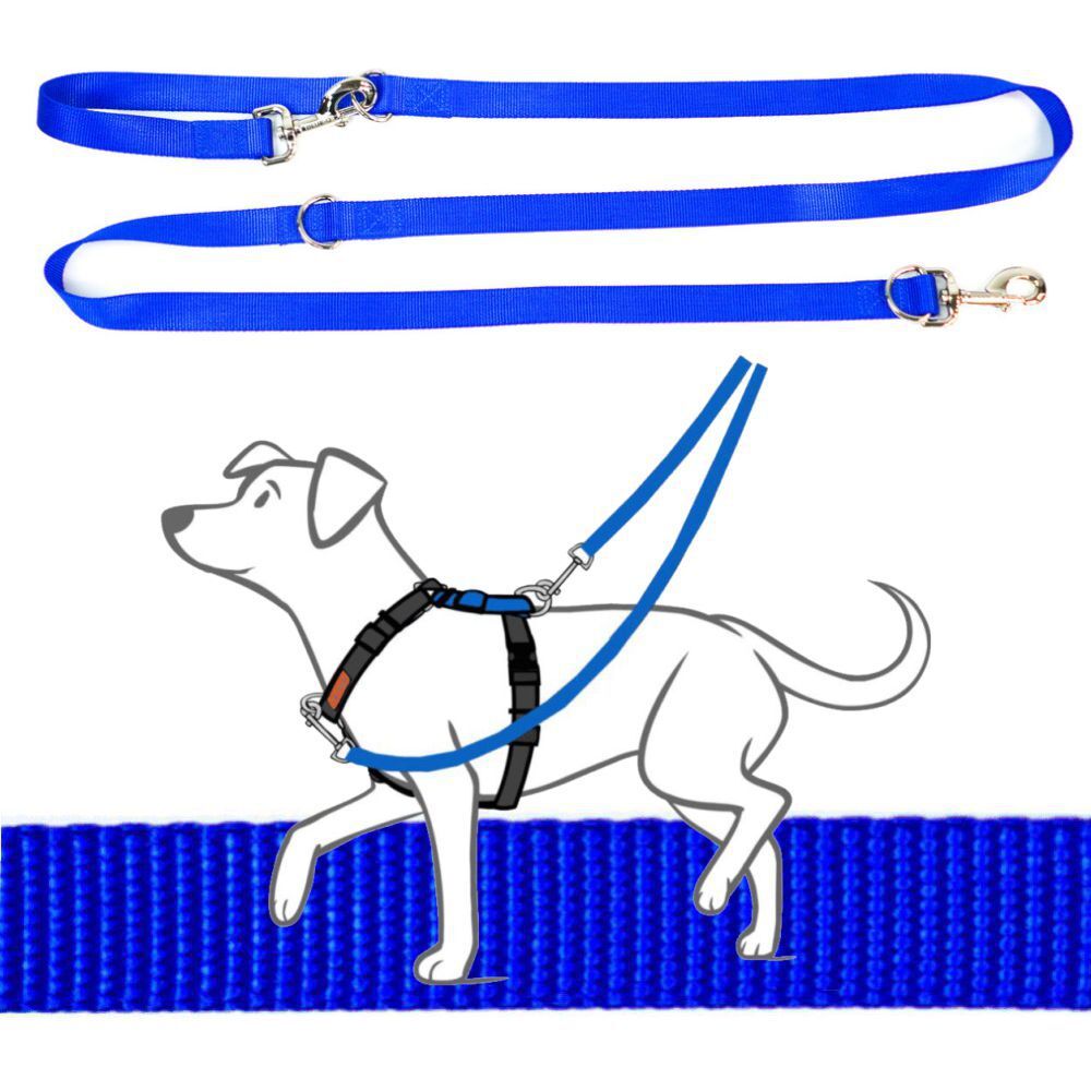 Blue-9 Multi-Function Leash Blue