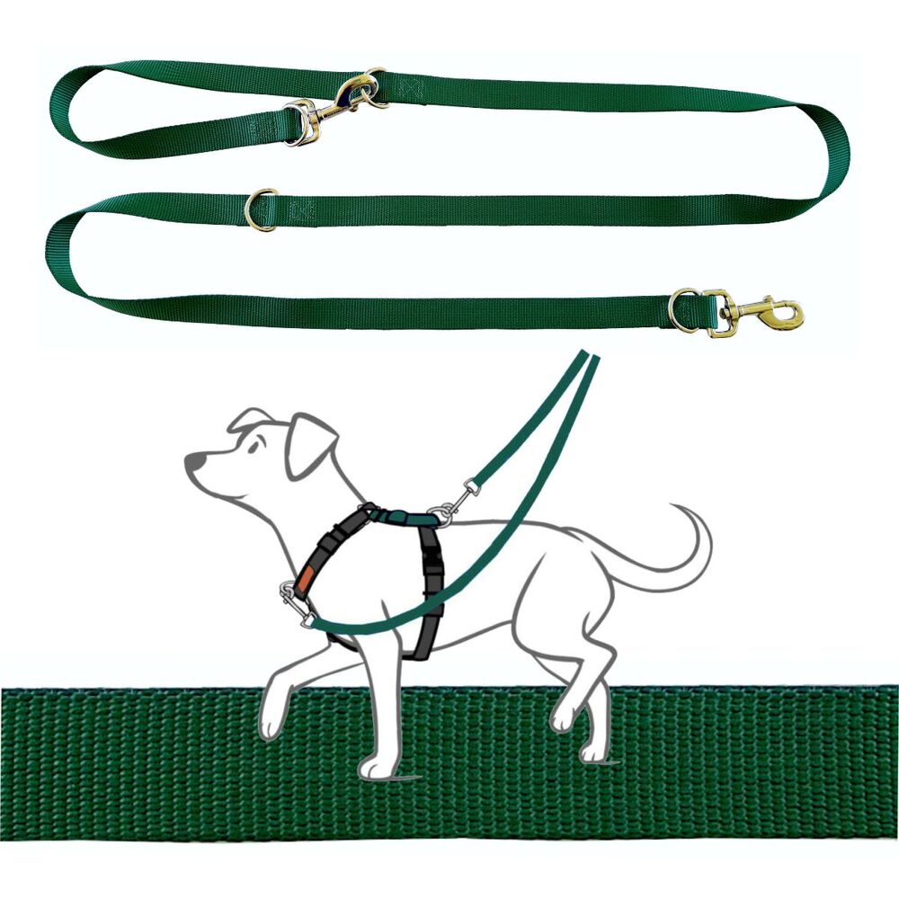 Blue-9 Multi-Function Leash Hunter Green