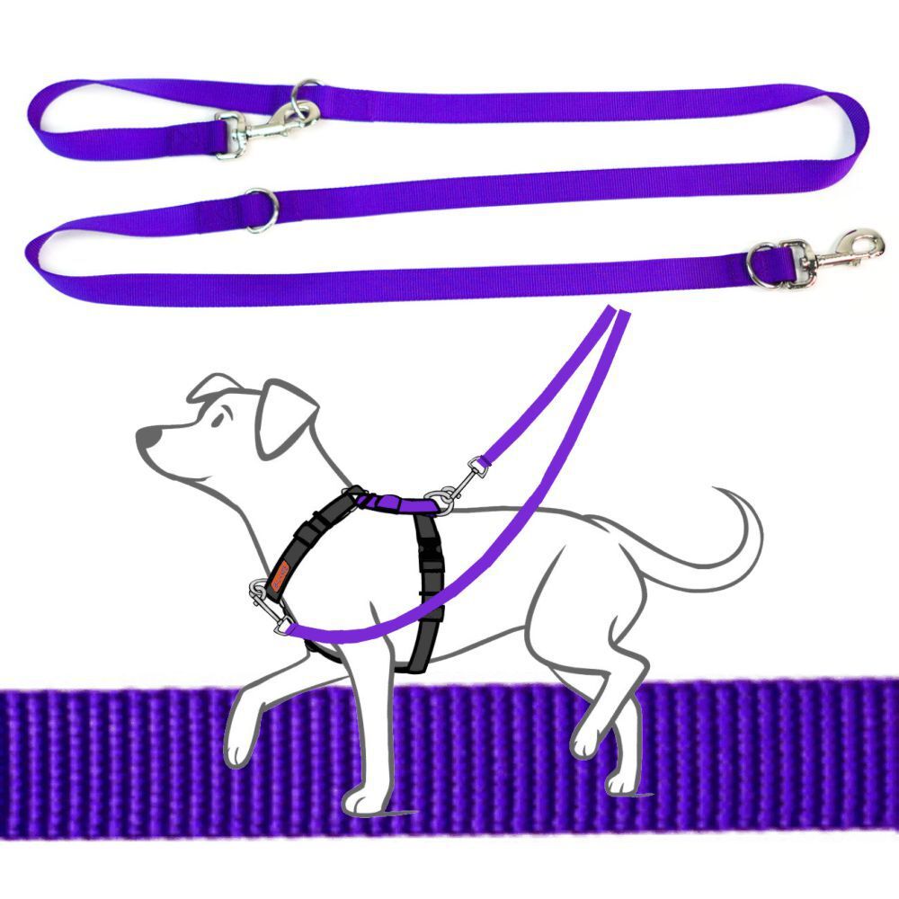 Blue-9 Multi-Function Leash Purple