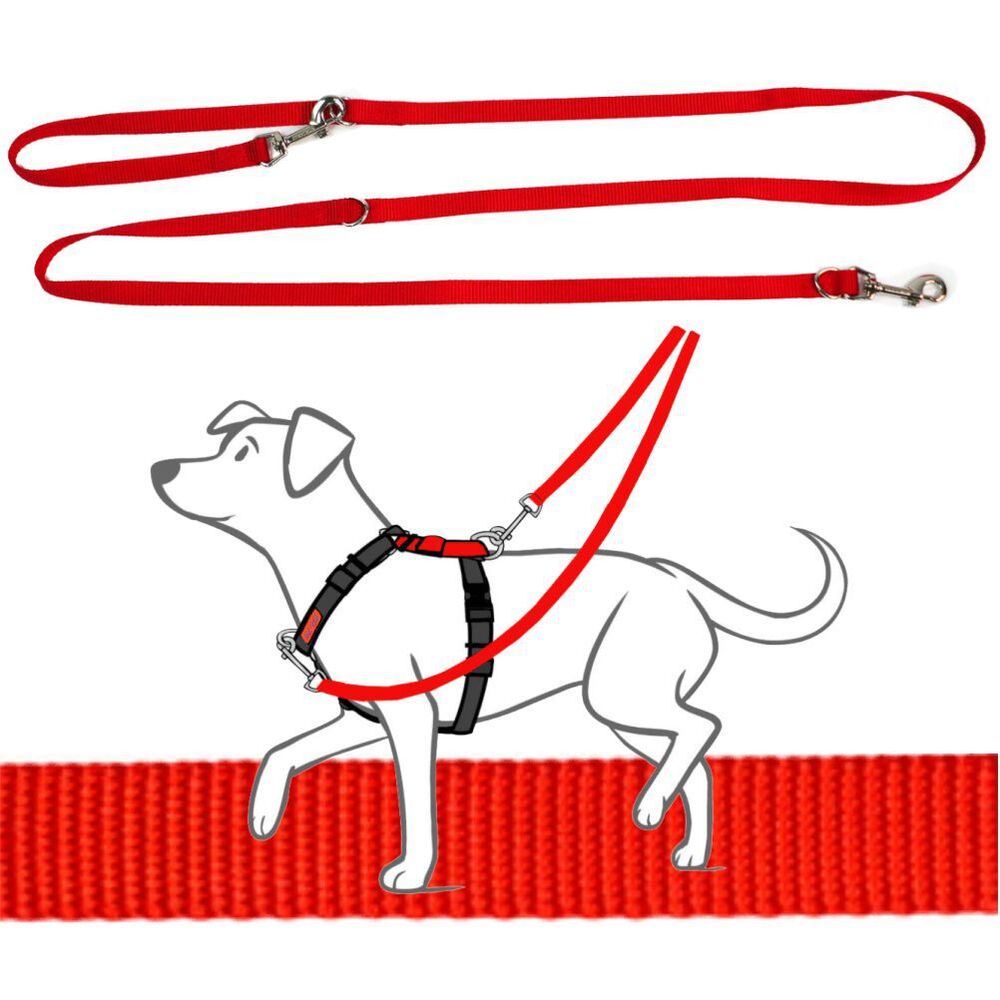 Blue-9 Multi-Function Leash Red (Small/Medium)