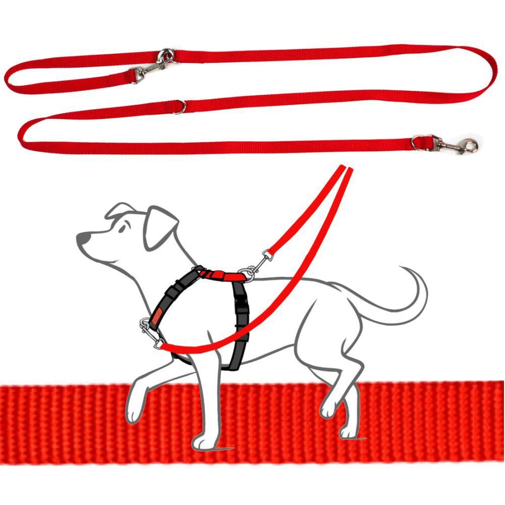 Blue-9 Multi-Function Leash Red