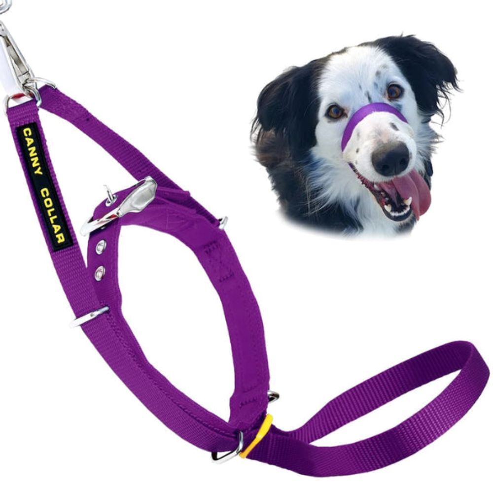 Canny Collar Dog Head Halter - Purple | Train Your Dog Not To Pull