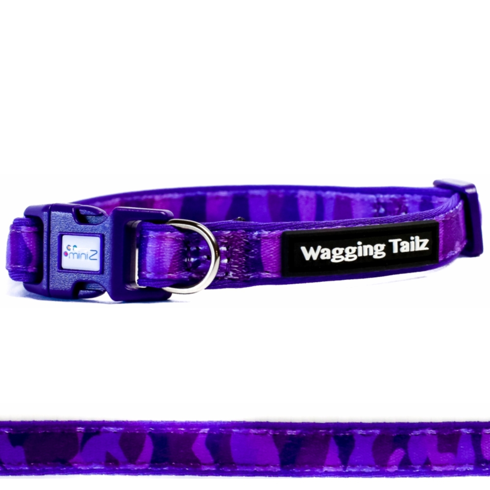 miniZ Camo Purple Toy Breed & Puppy Dog Collar