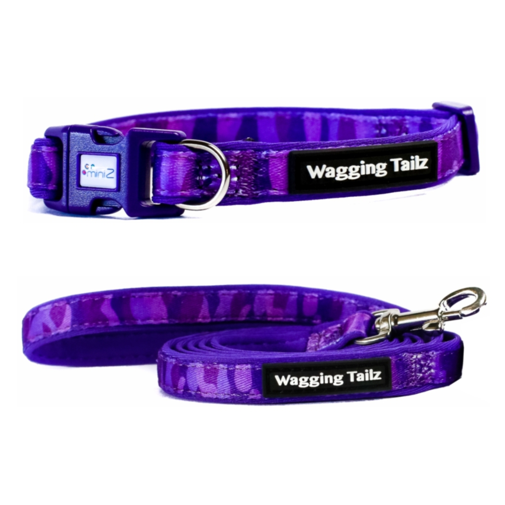 miniZ Camo Purple Lead & Collar Set (Large 19-34cm)