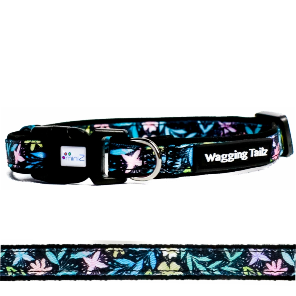 miniZ Dahlia Black Toy Breed & Puppy Dog Collar S, L