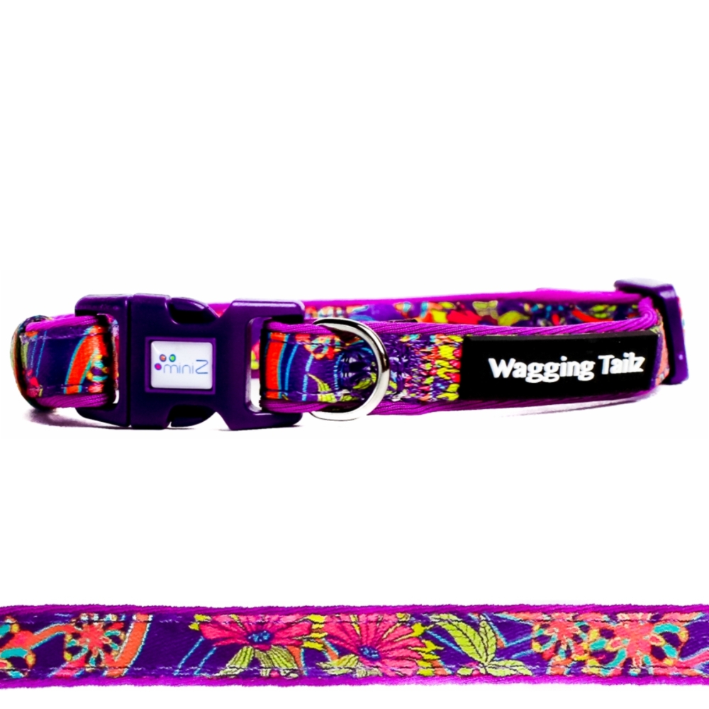 miniZ Lavender Toy Breed & Puppy Dog Collar S, L