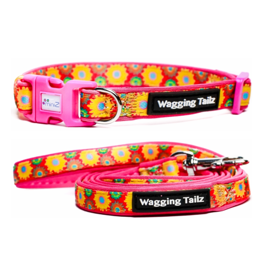 miniZ Wildflower Hot Pink Lead & Collar Set (Large 19-34cm)