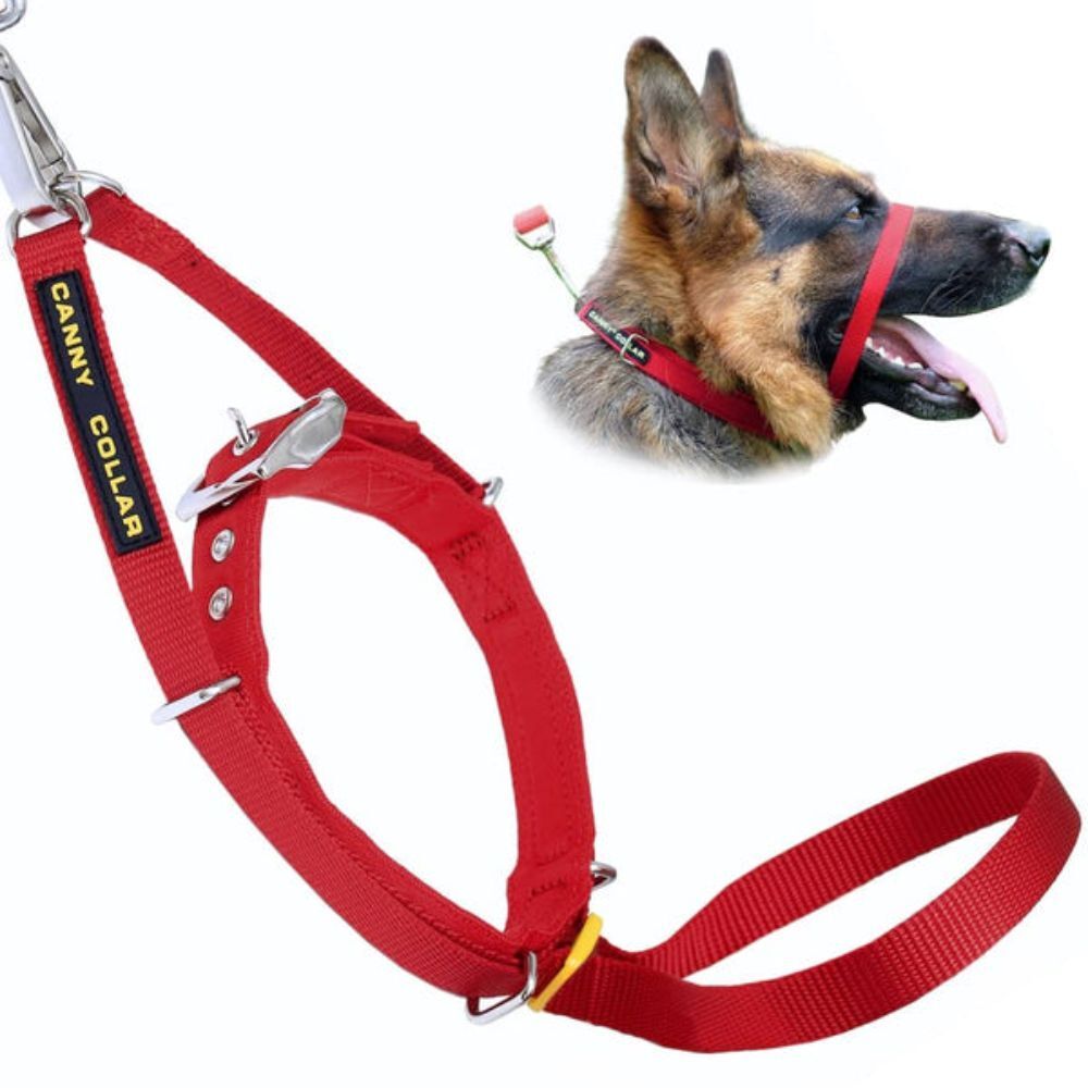 Canny Collar Dog Head Halter - Red Size 3 (33cm - 38cm)