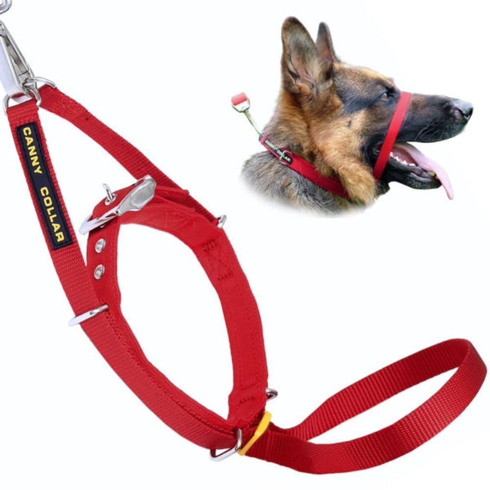 Canny Collar Dog Head Halter - Red | Train Your Dog Not To Pull