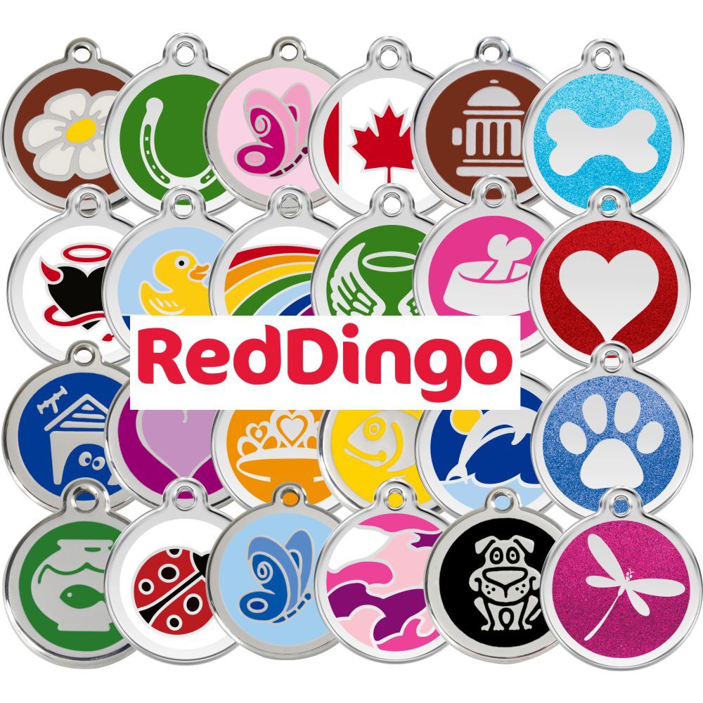 RedDingo Tag Express Gift Card