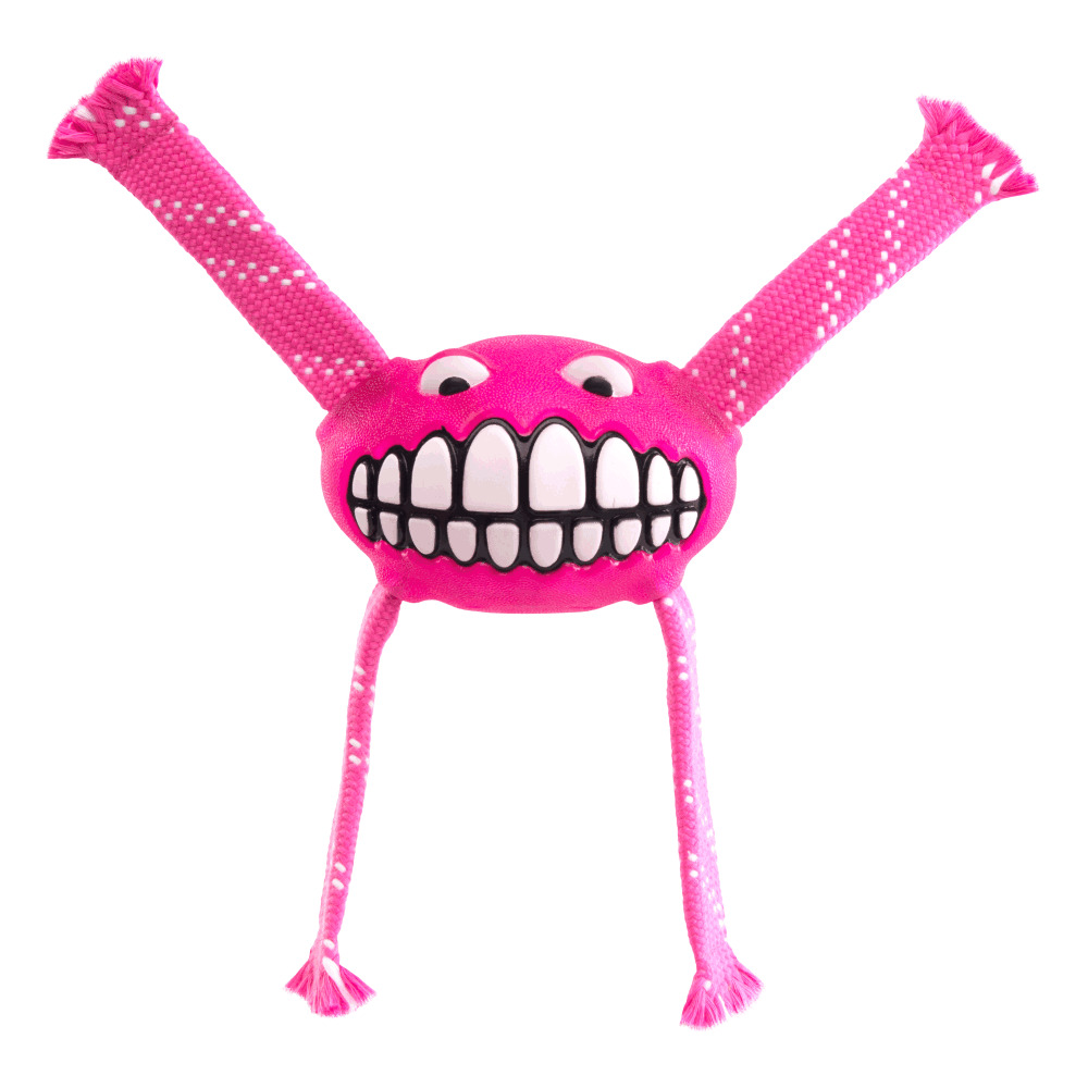 Rogz Flossy Grinz Oral Care Dog Toy Pink S,M,L