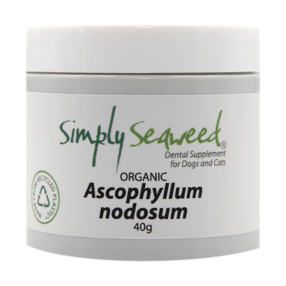 Simply Seaweed Natural Dental Health Care (40g)