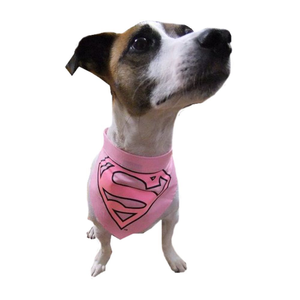 Supergirl Dog Collar Bandana (Small)