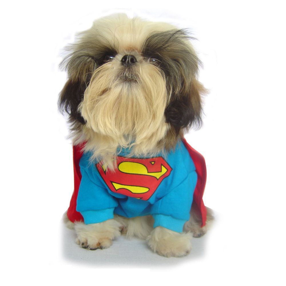 Superman Dog Costume (40cm)