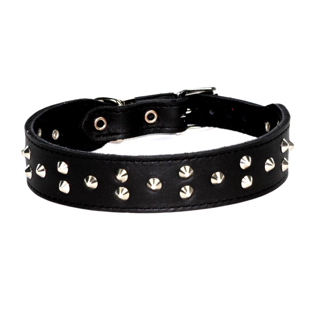 Dogue Stud Muffin Black Leather Dog Collar (35cm)