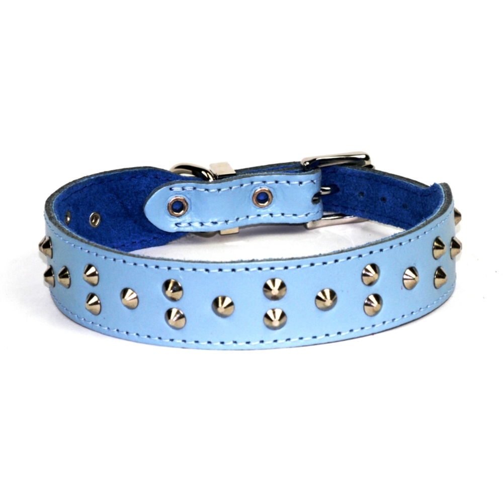 Dogue Stud Muffin Blue Leather Dog Collar (Blue, 30cm)