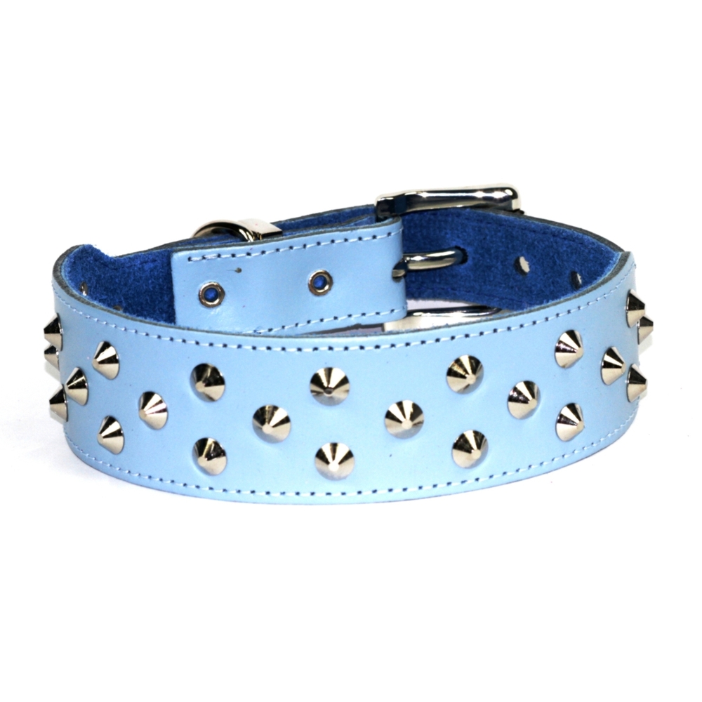 Dogue Stud Muffin Blue Leather Dog Collar (Blue, 55cm)