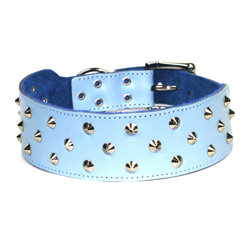 Dogue Stud Muffin Blue Leather Dog Collar (Blue, 60cm)